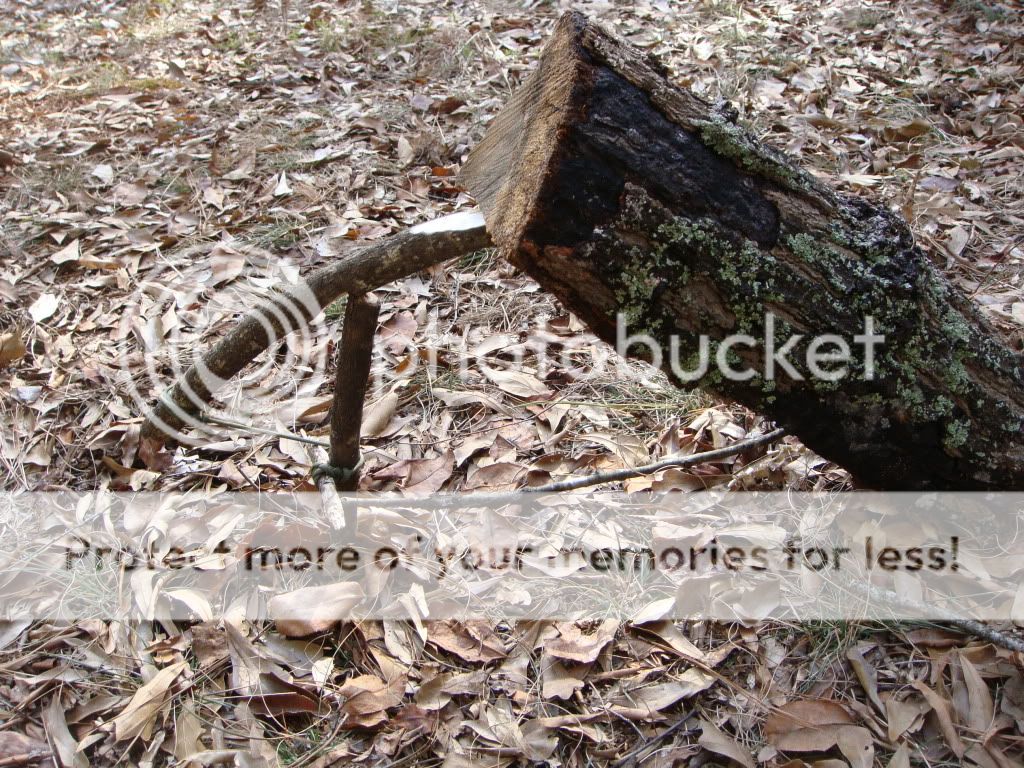 DSC00734.jpg