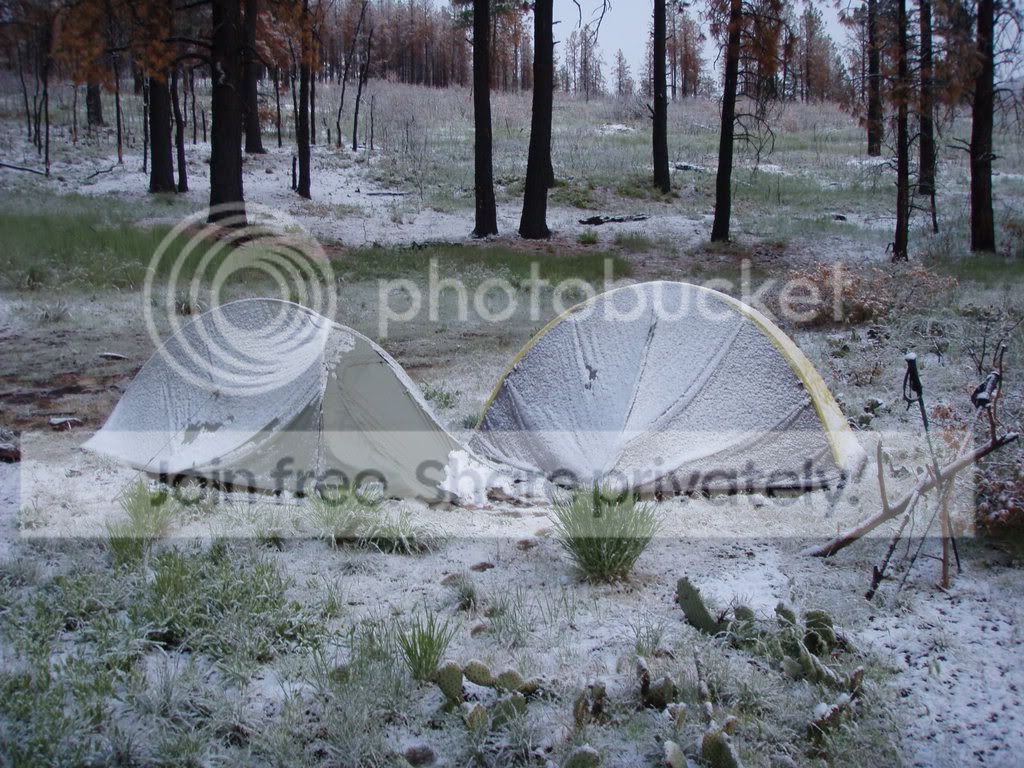 snowonthetentscabinspring.jpg