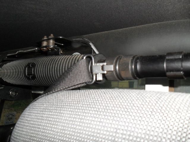 SDC12381.jpg