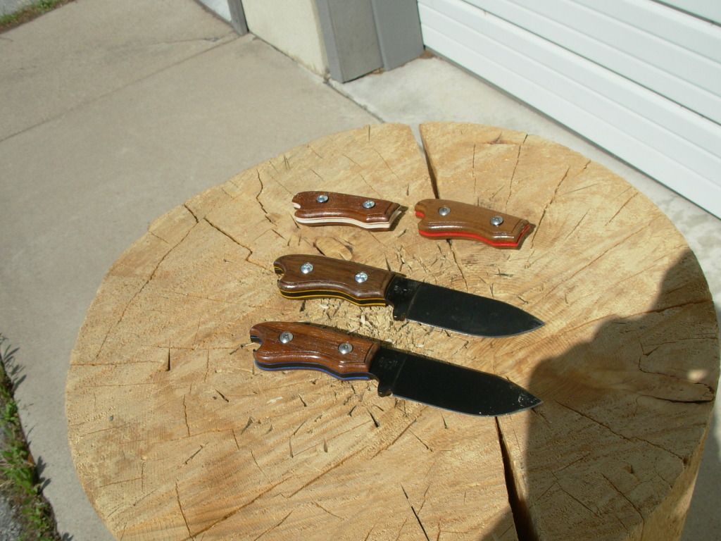 DSCN1006.jpg