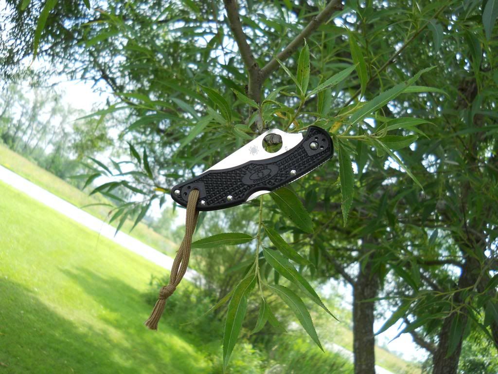 Delica007_zpsb2484675.jpg