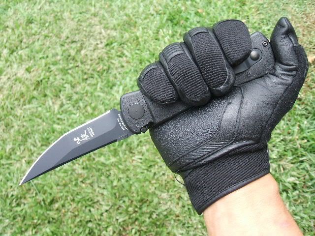 2009_0508Image0011.jpg