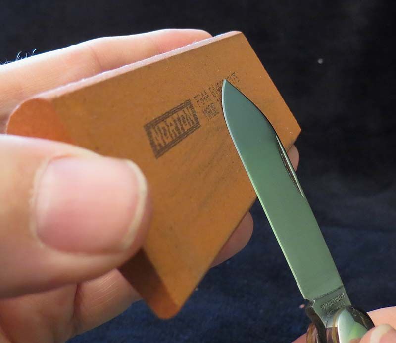 sharp6.jpg