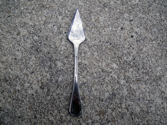 SpoonCut.jpg