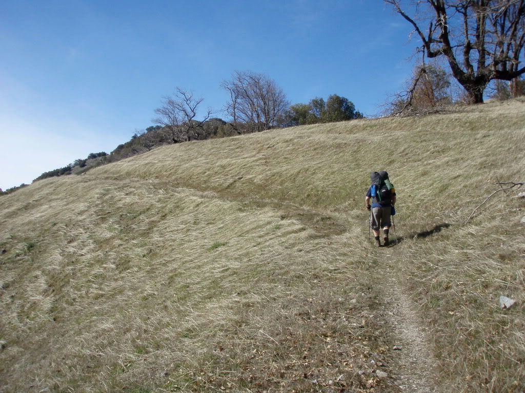rollinghills.jpg