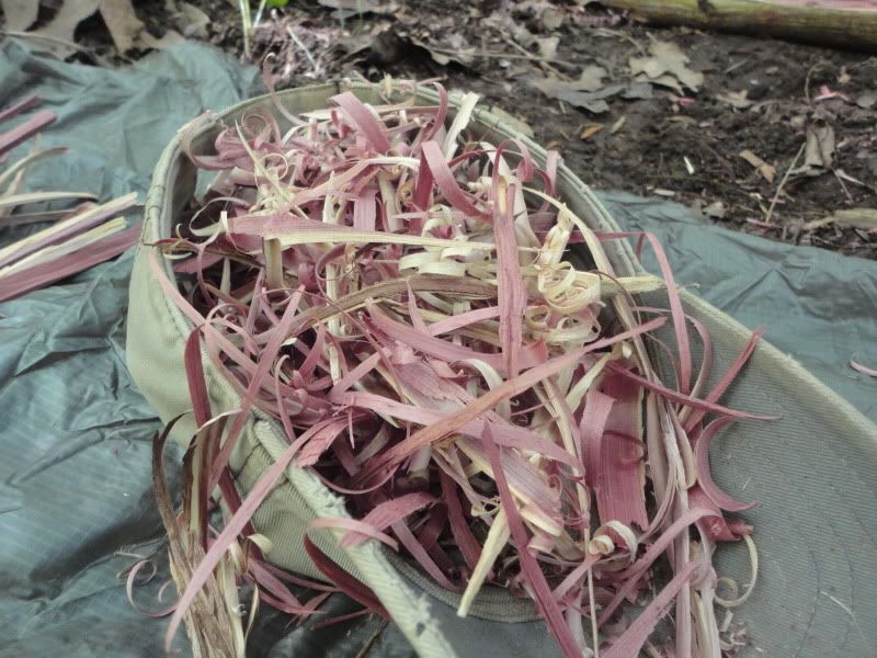 bushclass124.jpg