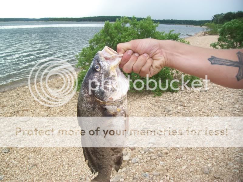 Picture110.jpg