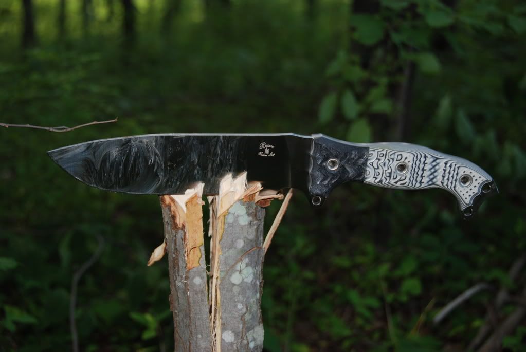 Busse079.jpg