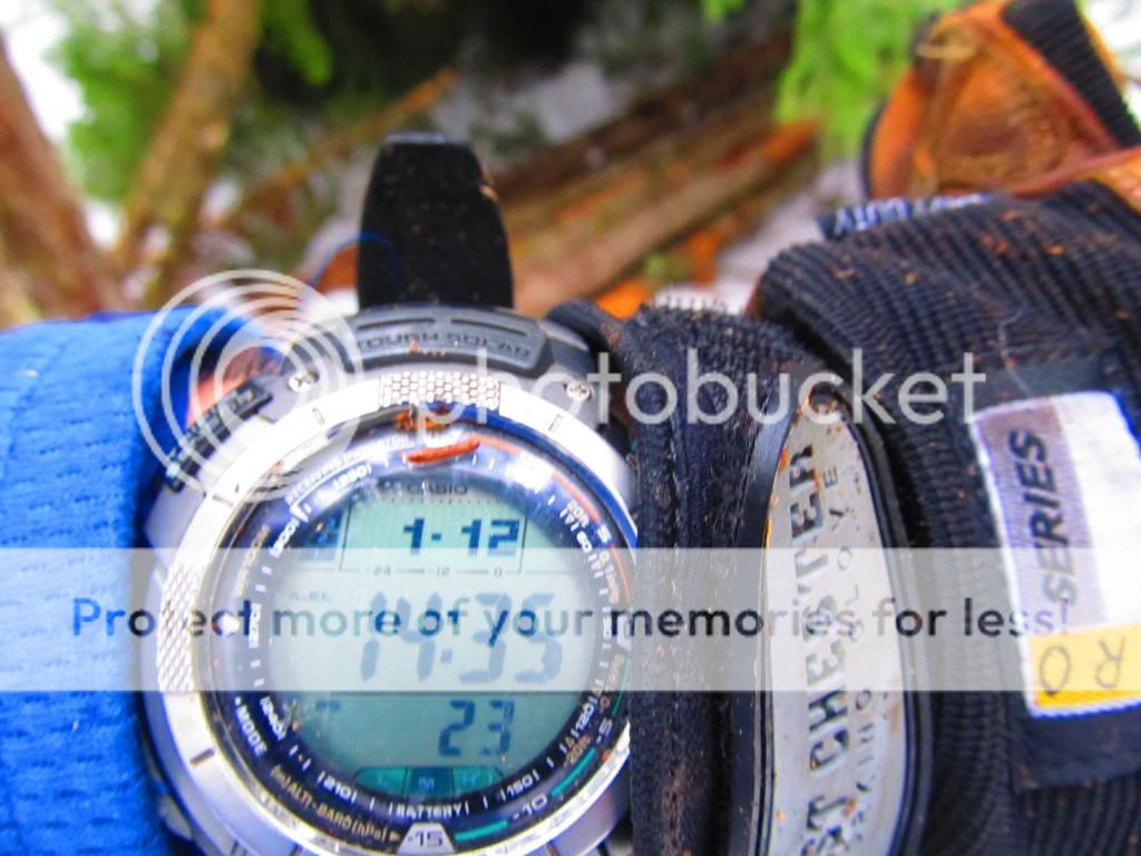 IMG_2268_zps558b1f78.jpg