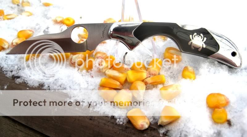 santefespydercoKiwi002fixed.jpg