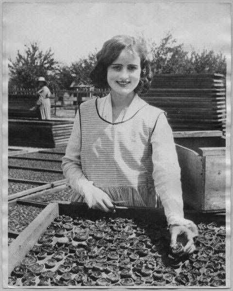 cuttingcots.jpg