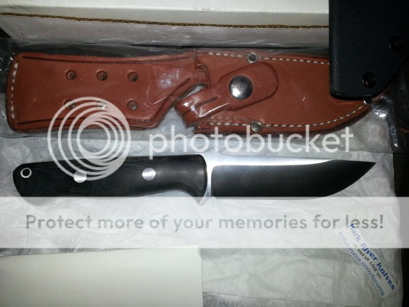 20130221_205655_zpsa55c90b8.jpg