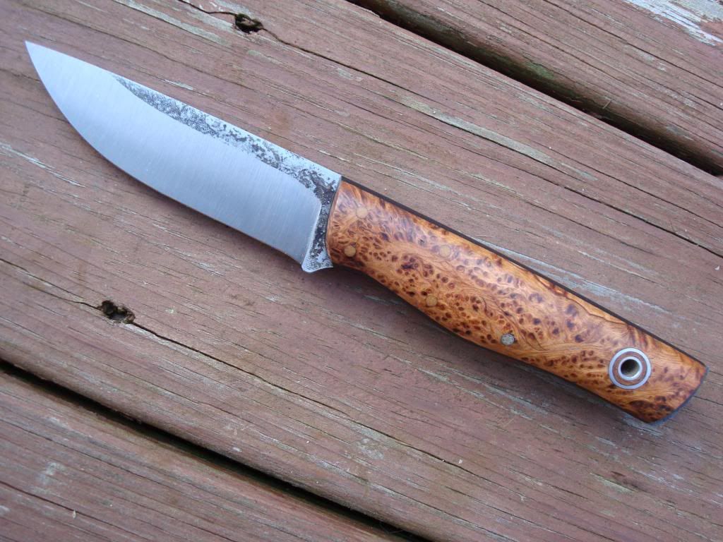 Fiddleback008.jpg