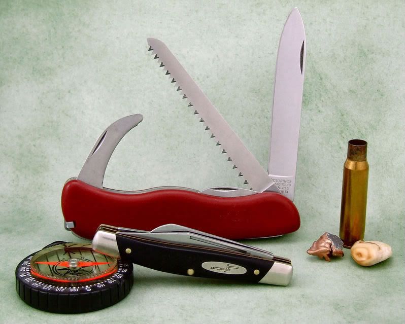SAK303-1.jpg