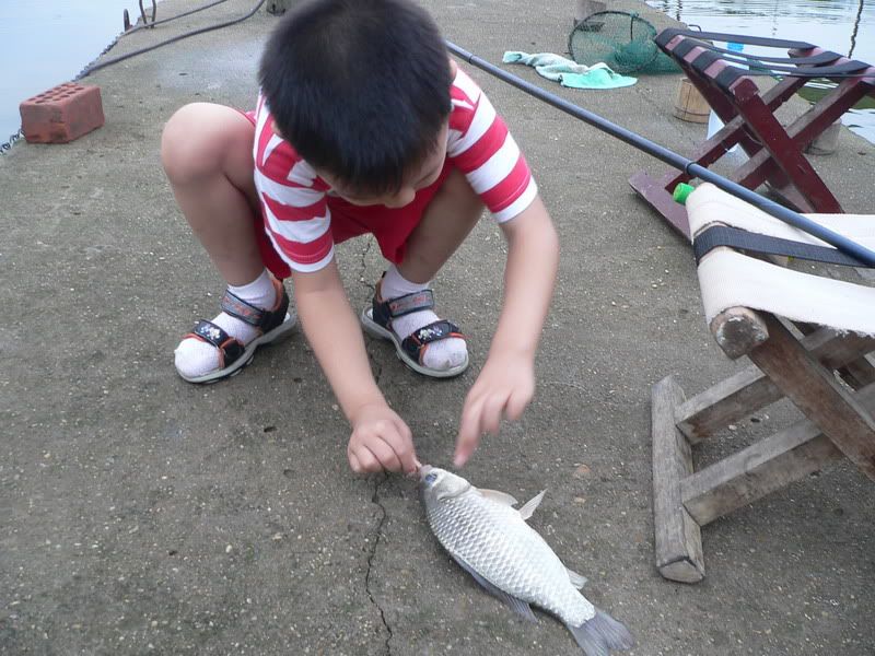 P1410421.jpg