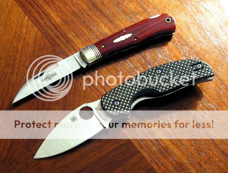 IMG_2299copy_zps9b54cdbf.jpg