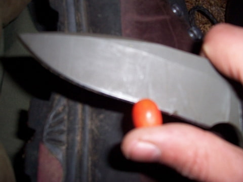 Foto-ZT6DTXGM.jpg