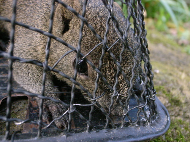 2010.12.11.R0022669.JPG