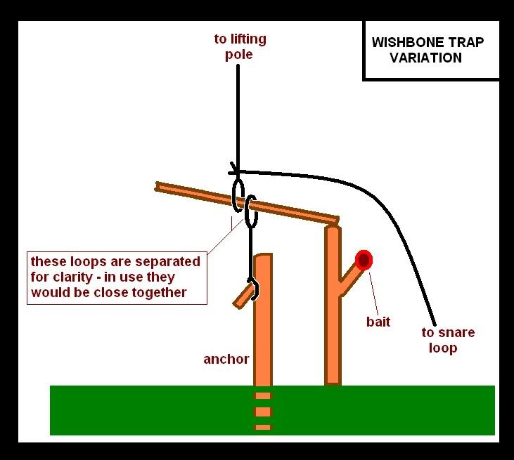 wishbonetrapvariation.jpg