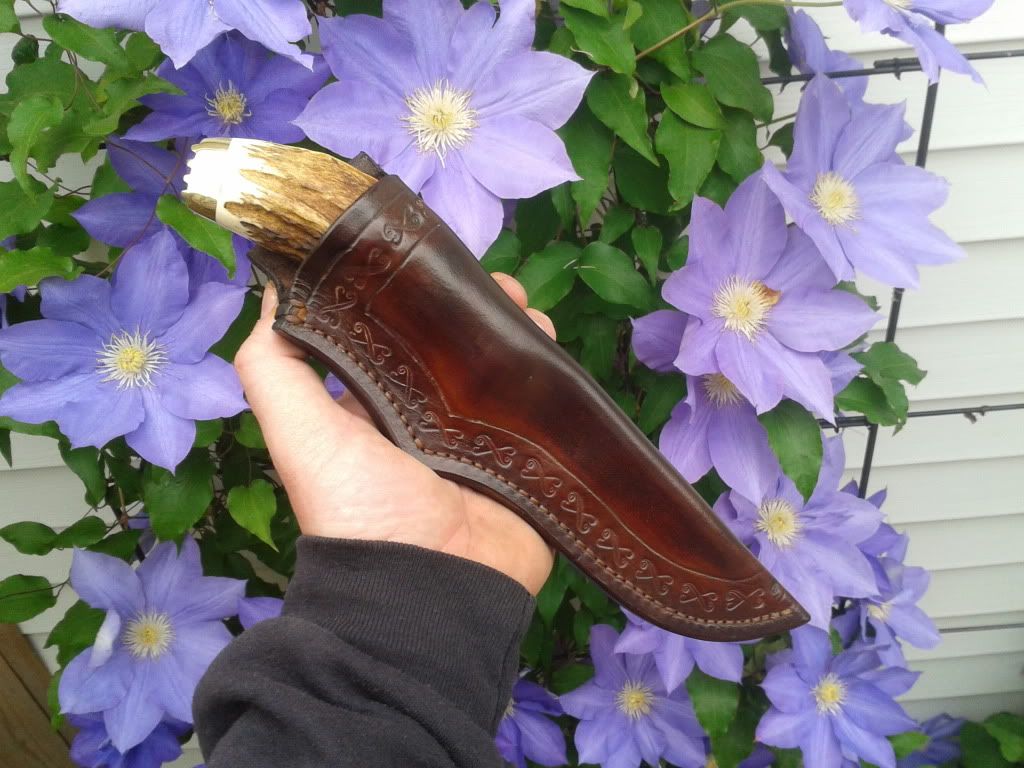 2012-04-21143552.jpg