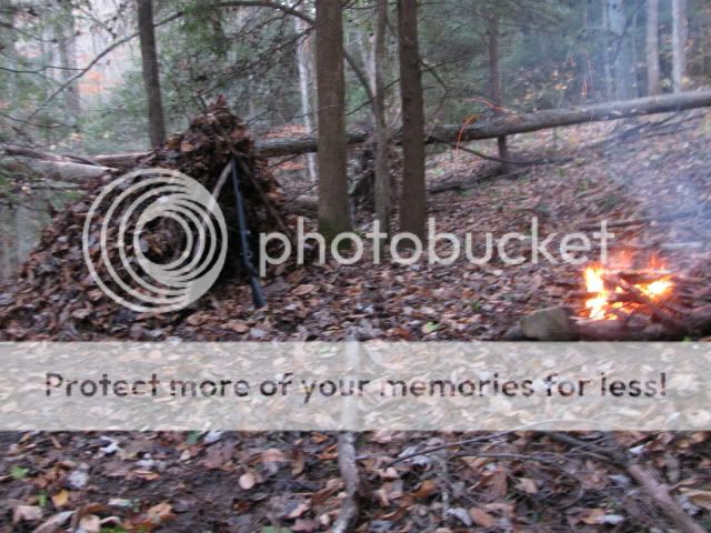 IMG_2043.jpg