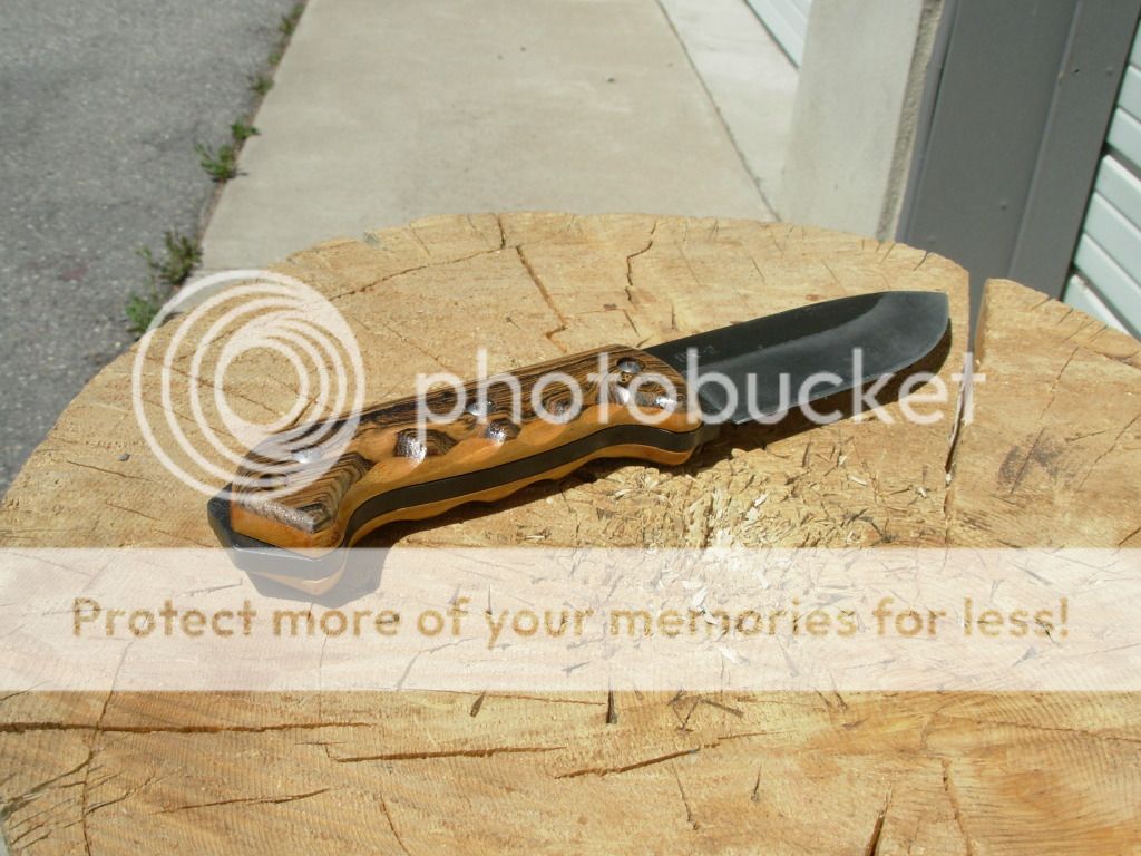 DSCN1540.jpg