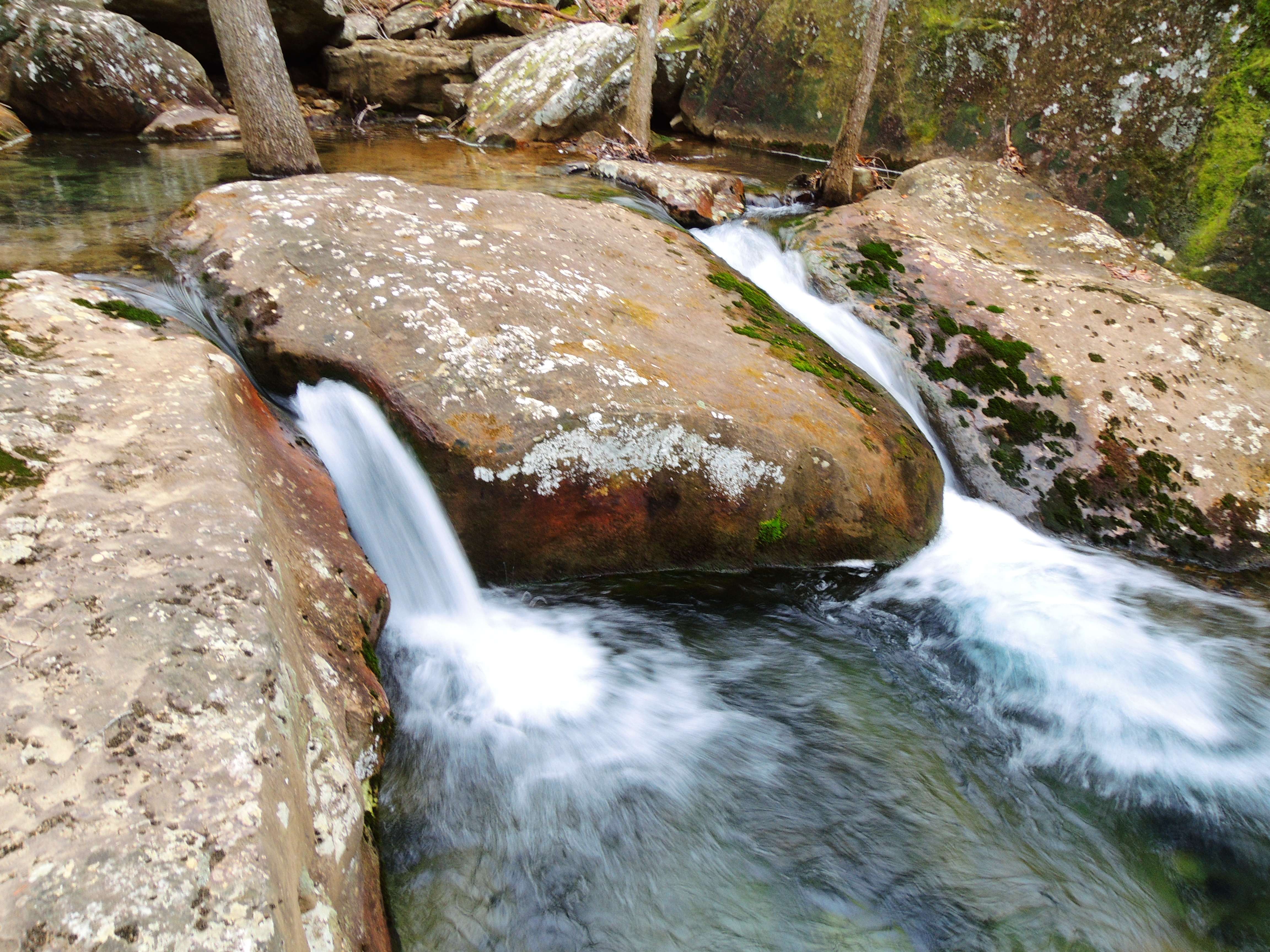 dscn7800.jpg