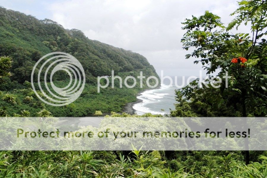 P6010047_zps11457c5d.jpg~original