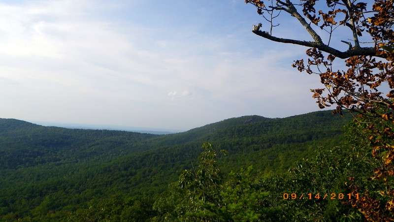 imgp3693a.jpg