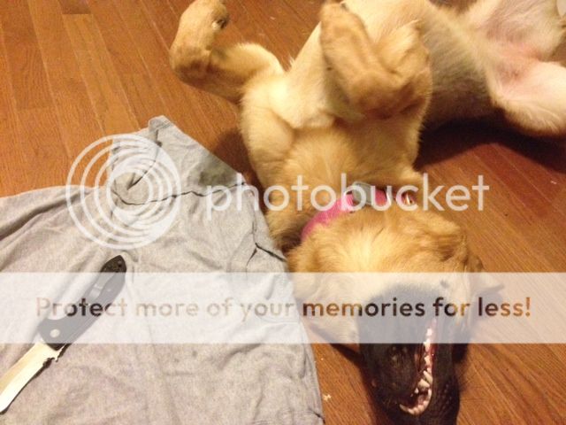 photo1-3.jpg