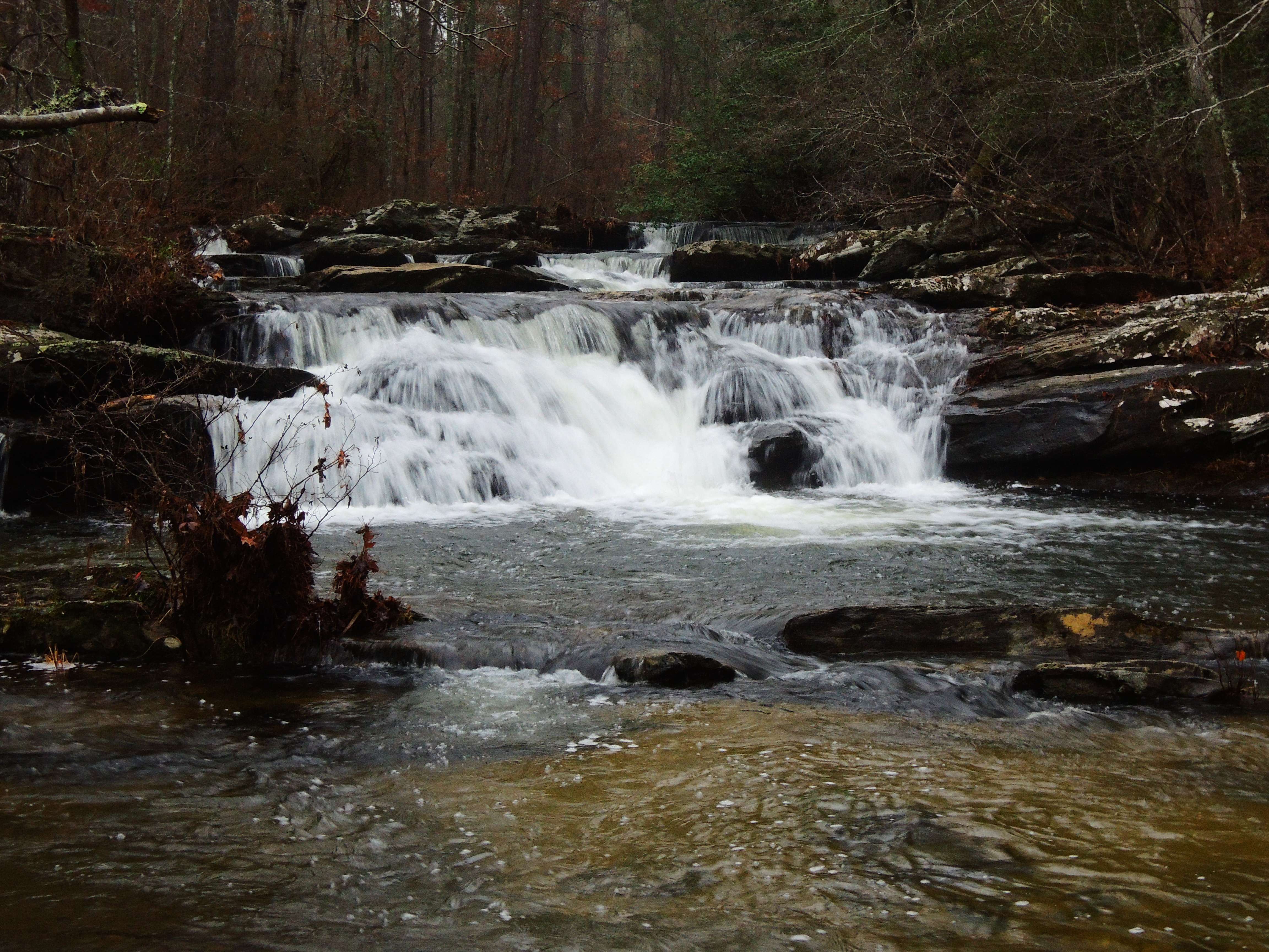 dscn5976.jpg