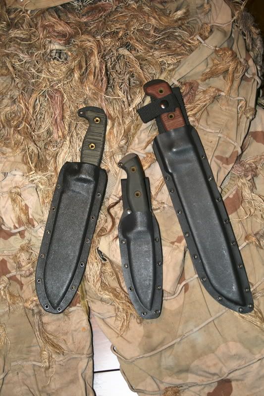 insheaths.jpg