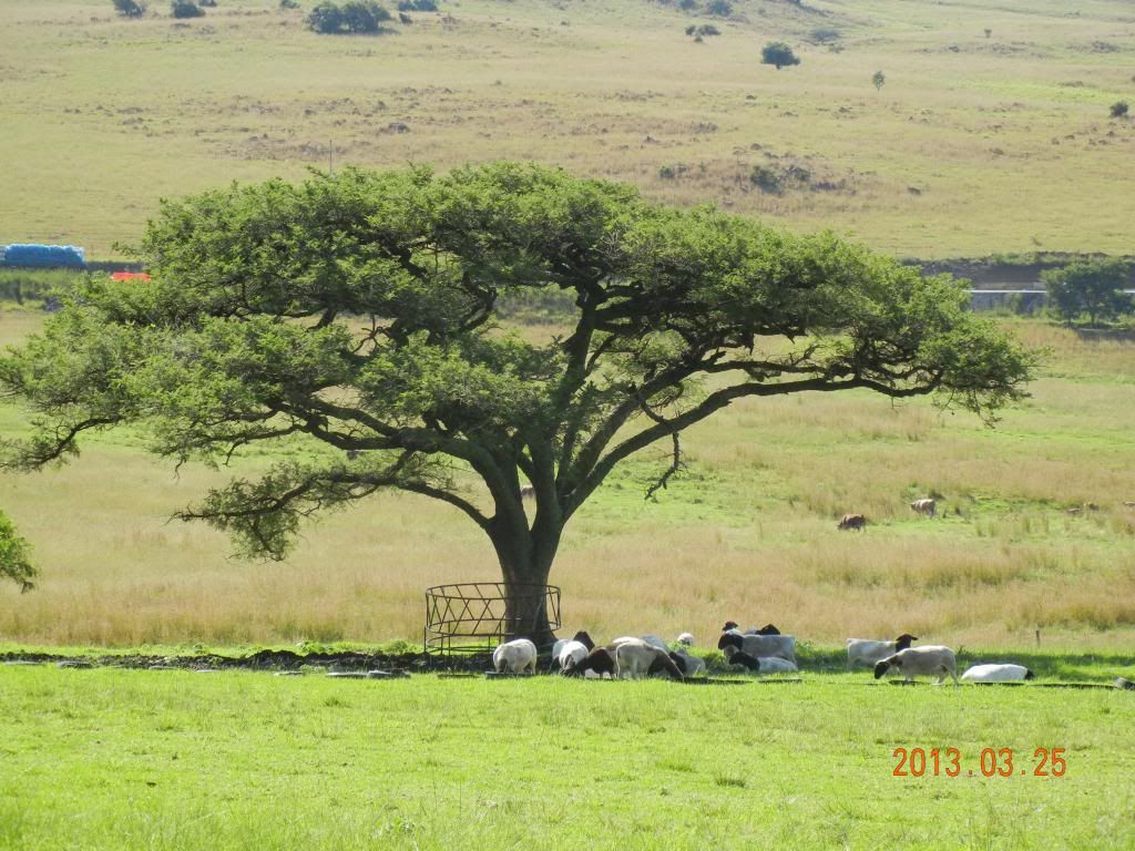 DSCN2576.jpg