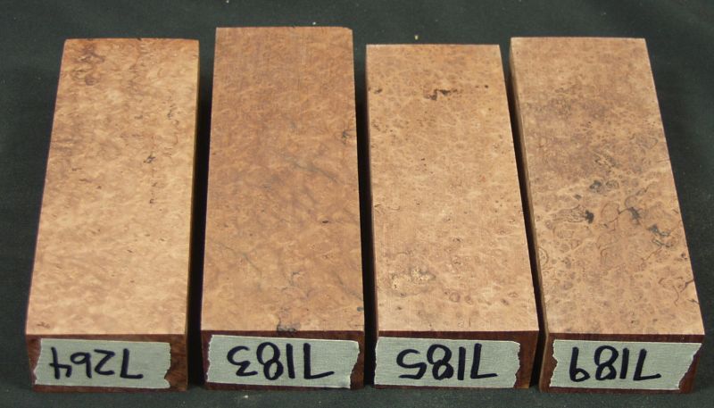3b-66.jpg