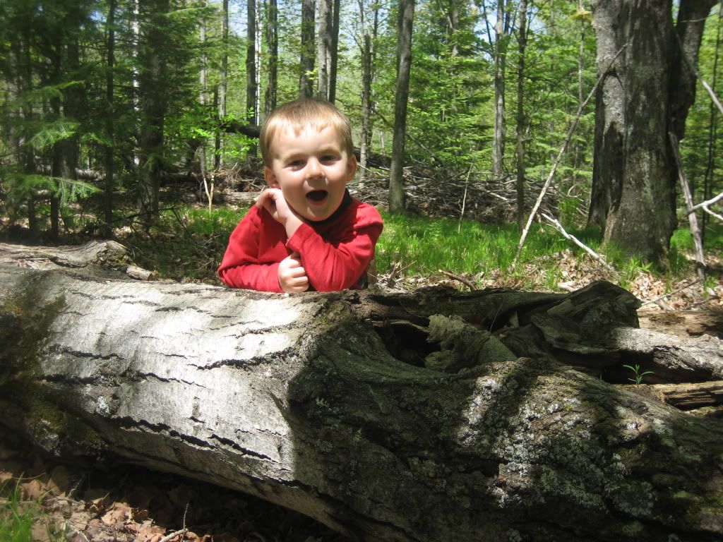 2009024.jpg