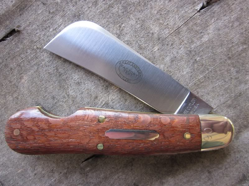 lacewood7.jpg