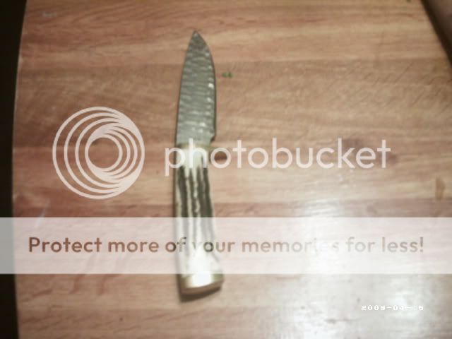 PHOT0029.jpg