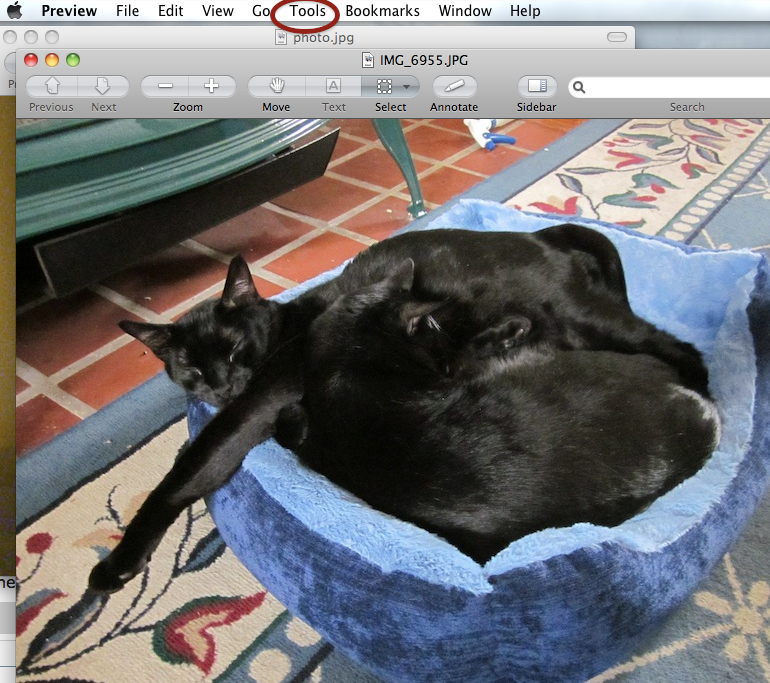 Screenshot2013-02-22at90314PM_zps2a3f2832.png