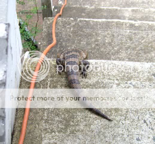Picture285.jpg