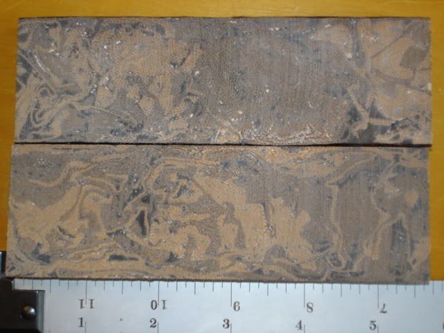 DSC02319.jpg