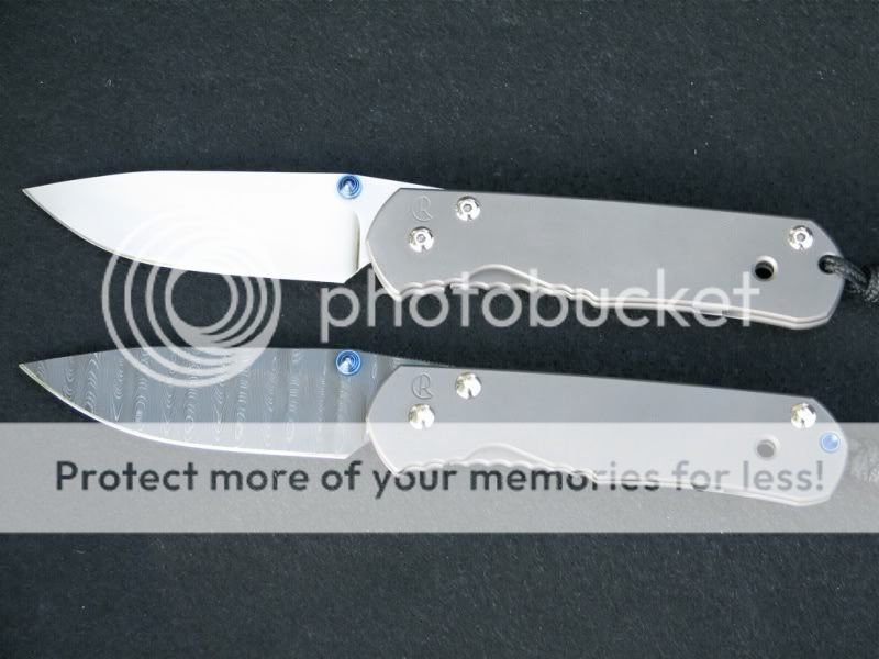 73872e83.jpg