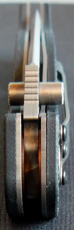 TacliteBuck08-17-2010010.jpg