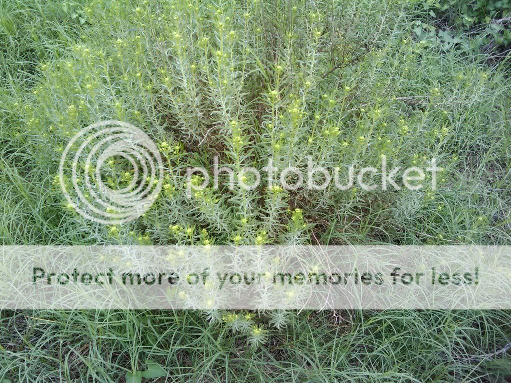 2009-09-24151709.jpg