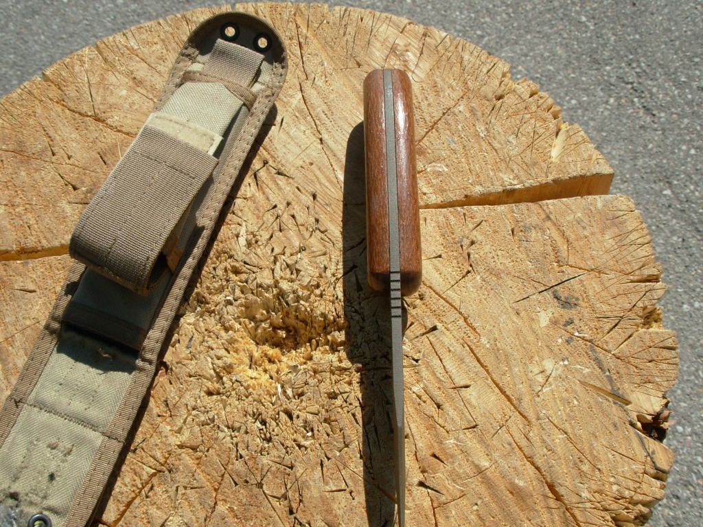 DSCN0446.jpg