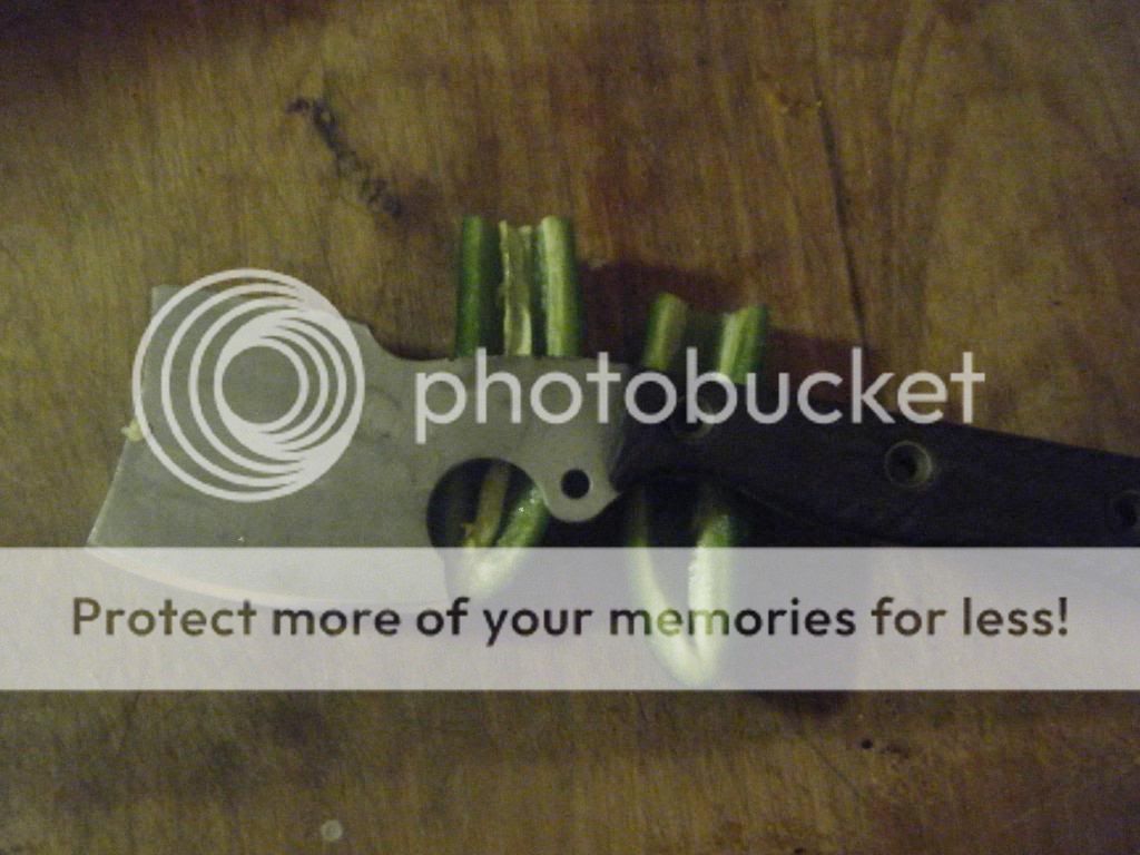 DSCF9995.jpg
