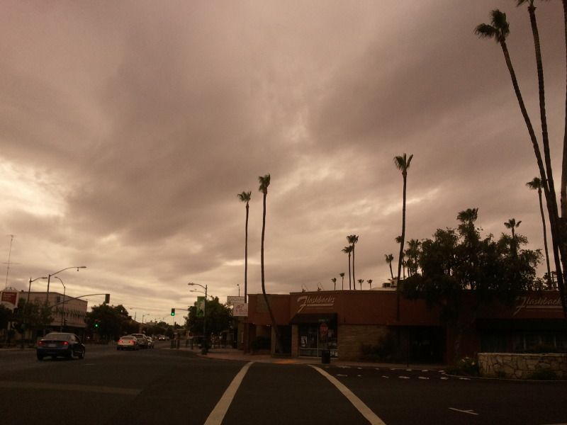 2012-06-04094217.jpg