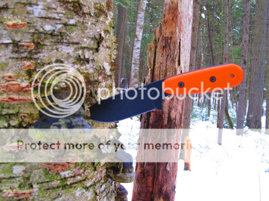 IMG_2426_zpscb44e97e.jpg