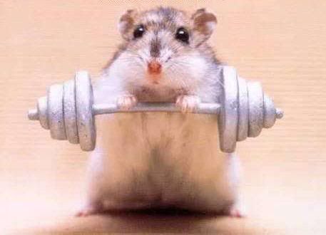mightymouse.jpg