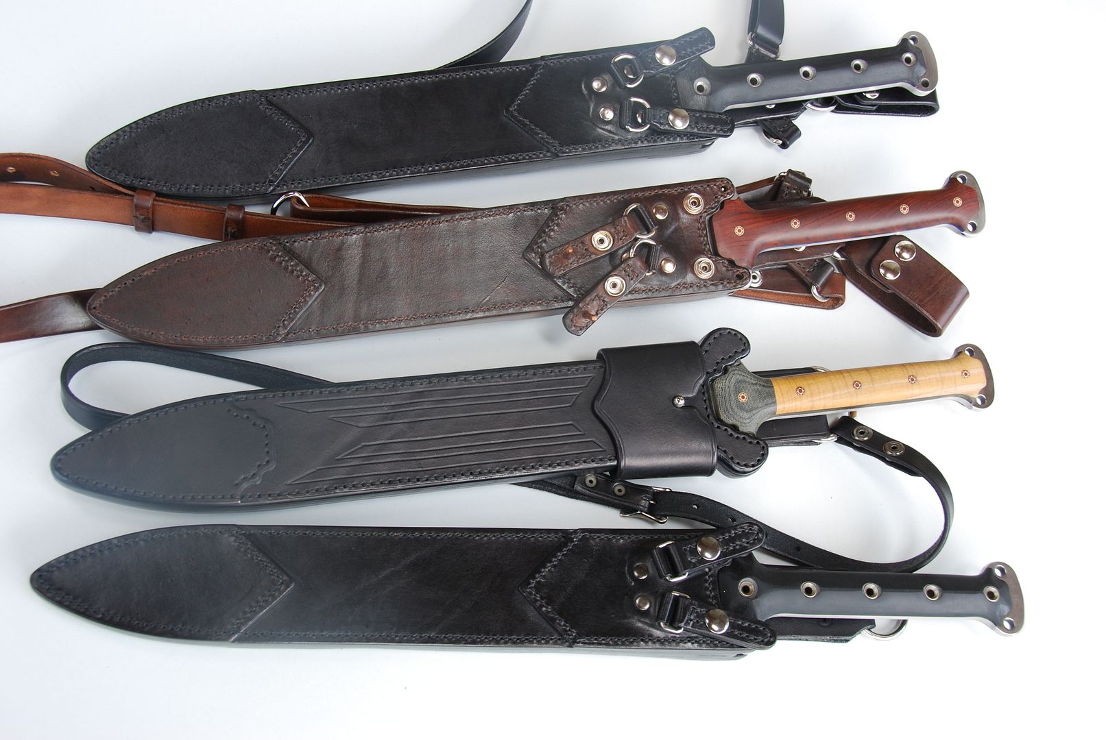 Gladiussheaths002.jpg