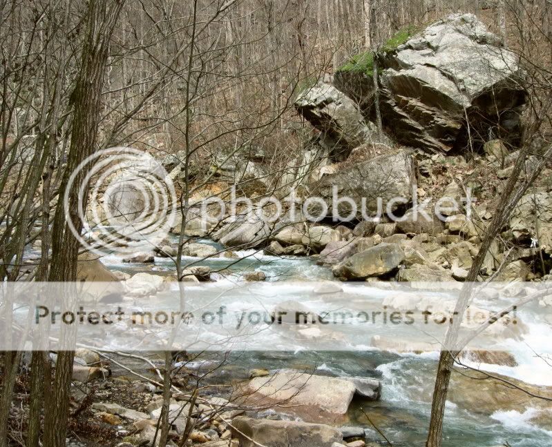 IMG_3074.jpg